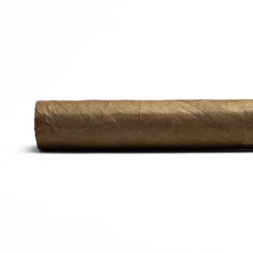 AVO XO Legato Toro Cigar - 1 Single